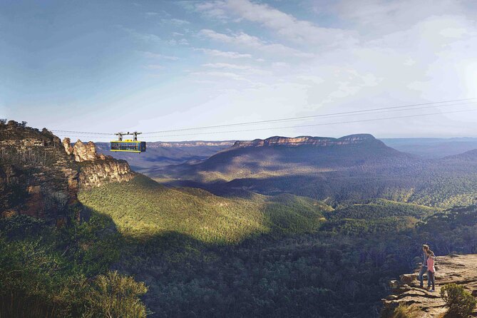 Koala & Kangaroos Experience, Waterfalls and Scenic Train Journey - Return to Sydney by Train: Scenic, But Know the Commuter Reality