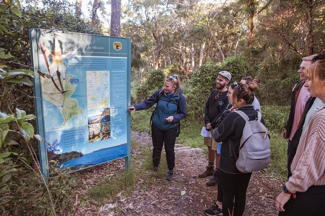 Lake Cruise and Nature Walk in Lake Macquarie - Dobell Park lunch and the Pulbah Island Nature Reserve viewpoint