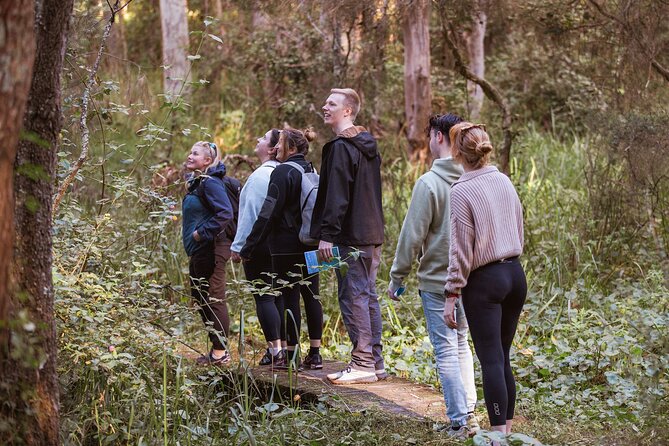 Lake Cruise and Nature Walk in Lake Macquarie - Price and value: how $100.41 turns into a full half-day