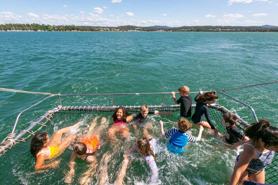 Lake Macquarie: Loop the Lake Cruise with Lunch - The Return Route: North Eastern Shoreline and Wildlife Moments