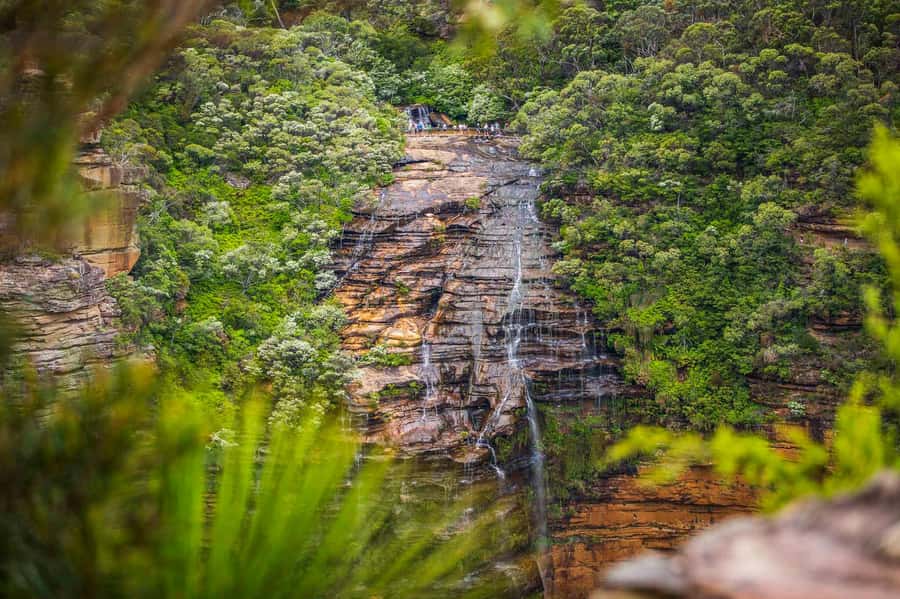 Luxury Blue Mountains Escape The Crowds Tour - A luxury Mercedes V-Class makes the day trip feel calmer