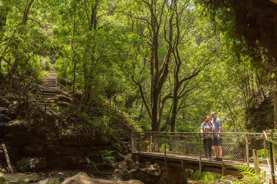 Luxury Blue Mountains Escape The Crowds Tour - Featherdale Wildlife Park inclusion: small group only