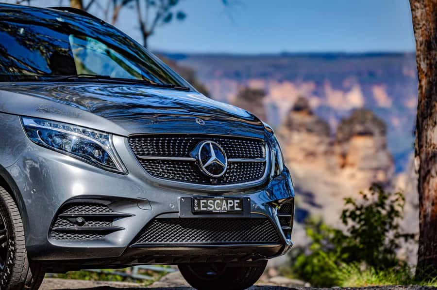Luxury Blue Mountains Escape The Crowds Tour - Small-group limits vs private tour, and what that changes