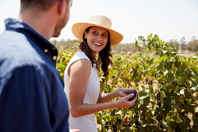 Luxury Hunter Valley Tour: 3 Tastings, Gin, Lunch & Chocolatier - Key things I’d plan around