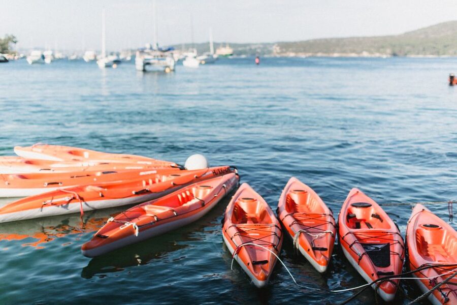 Manly: Mini Kayak Tour on Sydney's North Harbour - Key Highlights You Should Care About