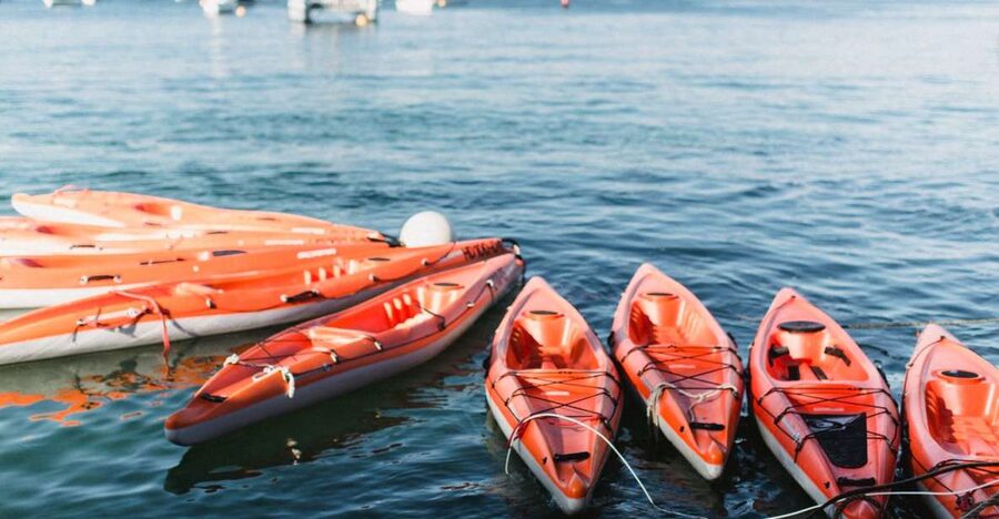 Manly: Mini Kayak Tour on Sydney's North Harbour - Reef Beach Stop: The Best Reward for Your Paddling Effort