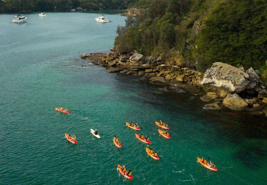 Manly: Mini Kayak Tour on Sydney's North Harbour - Should You Book This Manly Mini Kayak Tour?