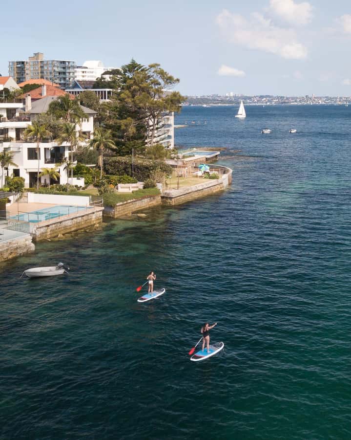 Manly Stand Up Paddle Board Hire - What the 2-hour North Harbour session actually looks like