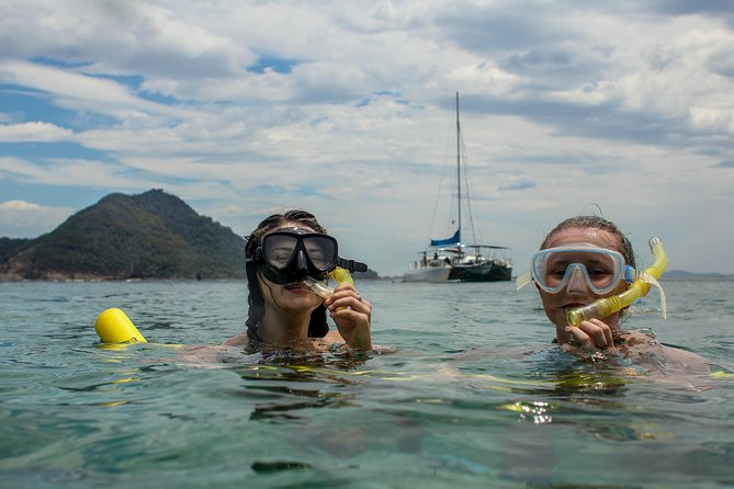 Marine Discovery + Snorkeling Cruise - Port Stephens - Key Highlights You’ll Care About