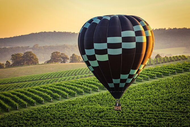 Midweek Hot Air Balloon Flight at Hunter Valley - 40-60 minutes above vineyards, fog, and sunrise light