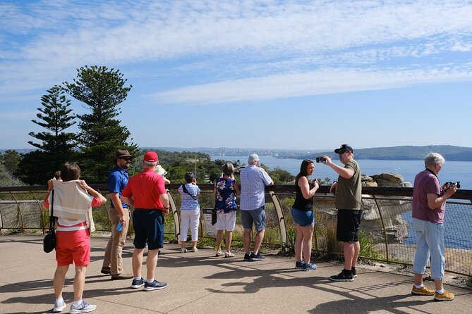 Morning or Afternoon Half-Day Sydney City Sightseeing Tour - Mrs Macquarie’s Chair: the Opera House and Bridge photo stop