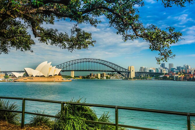 Morning or Afternoon Half-Day Sydney City Sightseeing Tour - Centennial Park, Paddington, and the neighborhood textures