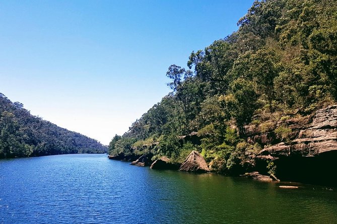 Morning Paddlewheeler Cruise in the Gorge - Price and Value: What $34.43 Actually Buys You