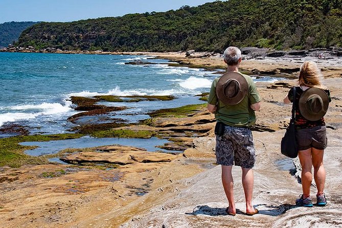 Nature and Wildlife: Australia in One Day - Private Tour - City Icons, Bushwalking, and Wildlife in One Tight Day