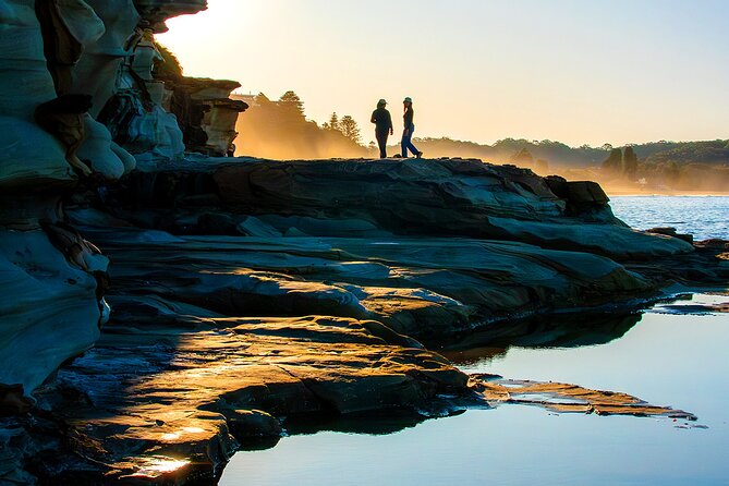 Nature and Wildlife: Australia in One Day - Private Tour - Mount White, Saddles Restaurant, and Short Stops That Keep Energy Up