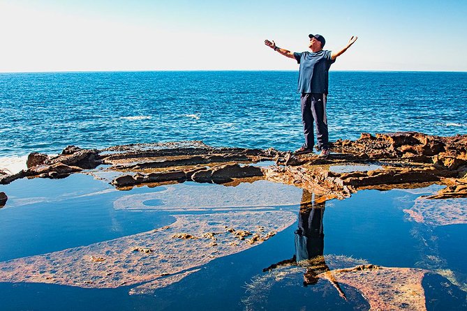 Nature and Wildlife: Australia in One Day - Private Tour - Secret Vantage Points, Fruit Bats, and the Timing of Warrah Lookout