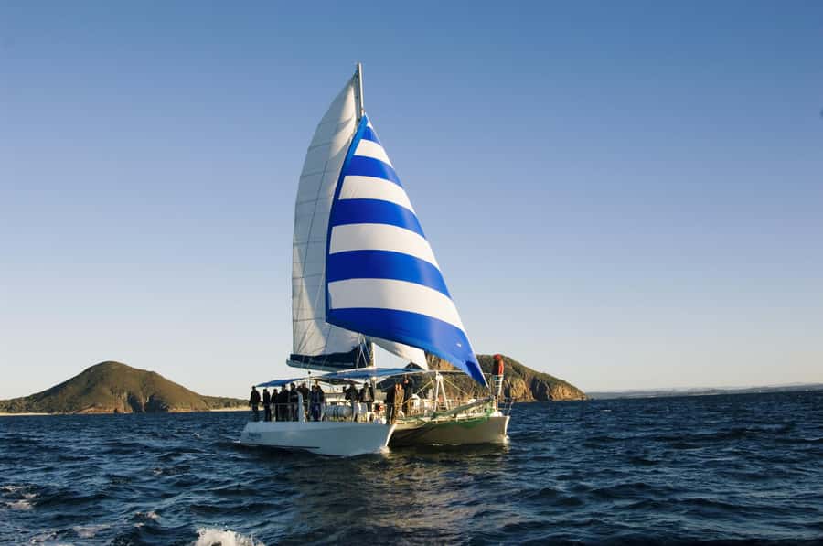 Nelson Bay: Dolphin Watch Cruise and Sail - What the dolphin search is really like, plus the return guarantee