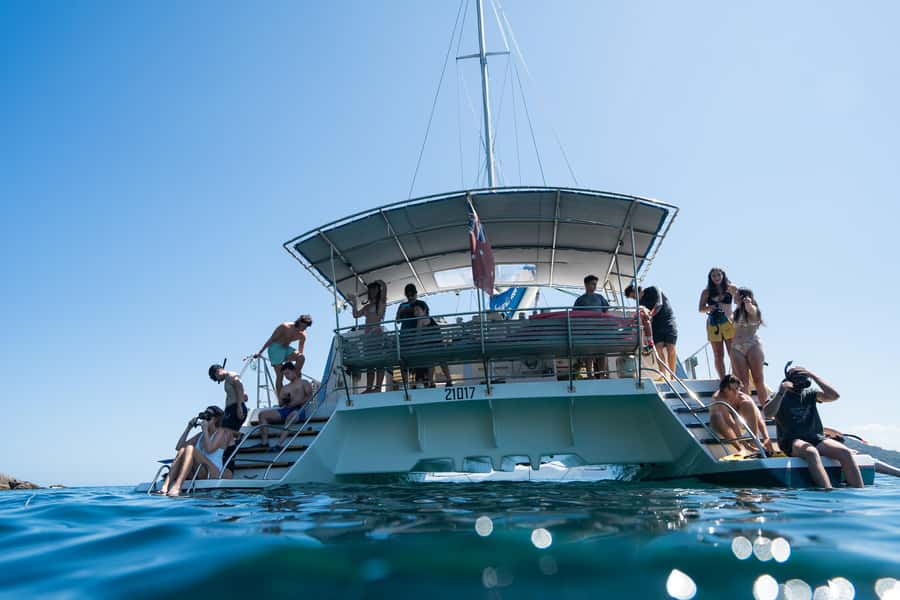 Nelson Bay: Marine Discovery Cruise with Snorkeling - Key highlights worth your attention