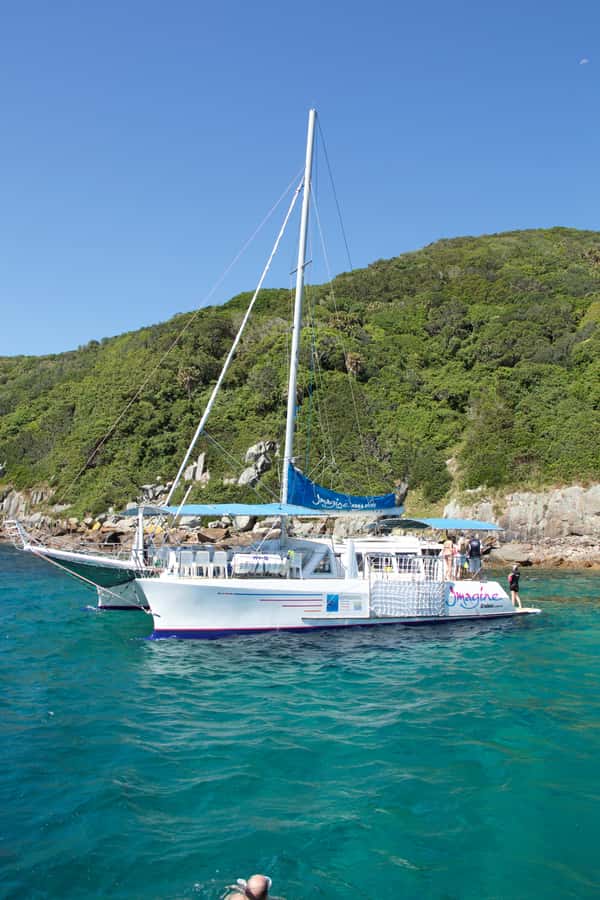 Nelson Bay: Marine Discovery Cruise with Snorkeling - Cruising Port Stephens: the dolphin hunt happens while you sail