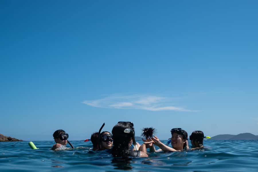 Nelson Bay: Marine Discovery Cruise with Snorkeling - When the weather changes your plan