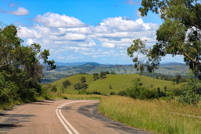 Newcastle: Country Towns River & Farm Tour with BBQ - Nathan’s Guide Style and the Small-Group Pace