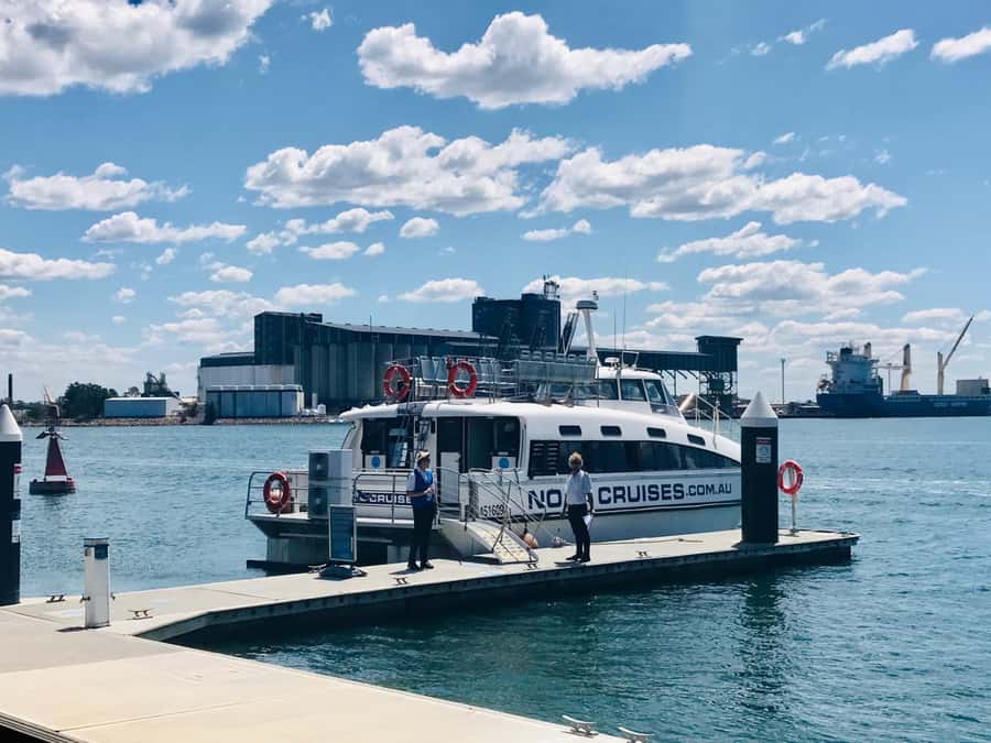 Newcastle: Humpback Whale Watching Cruise and Harbor Tour - Who should book this cruise in Newcastle, and who should skip it