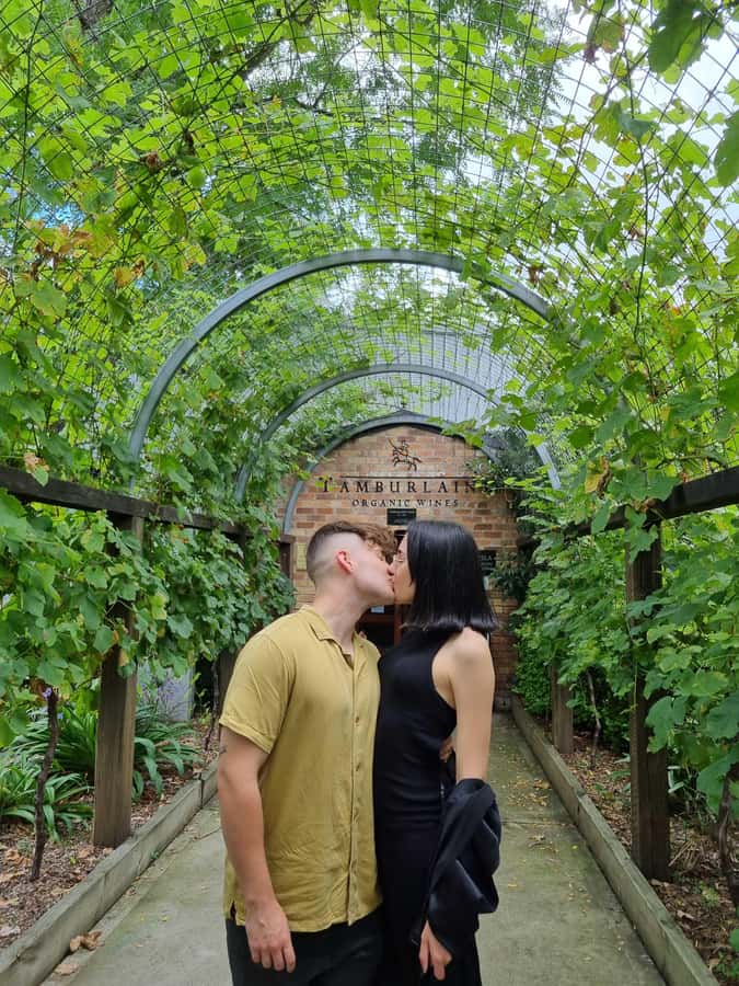 Newcastle: Hunter Valley Wine, Gin, Cheese & Chocolate Tour - From Ampol Cameron Park to Wine Country, Fast
