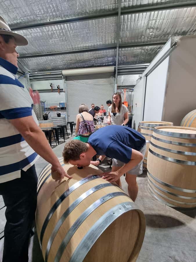 Newcastle: Hunter Valley Wine, Gin, Cheese & Chocolate Tour - Price and Value: Is $159 Worth a Full Day?
