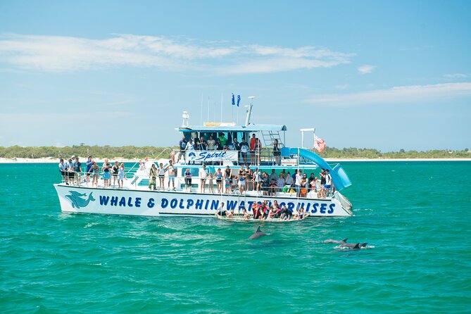 Newcastle: Port Stephens day tour - Dolphins, hike & swim! - Key highlights at a glance