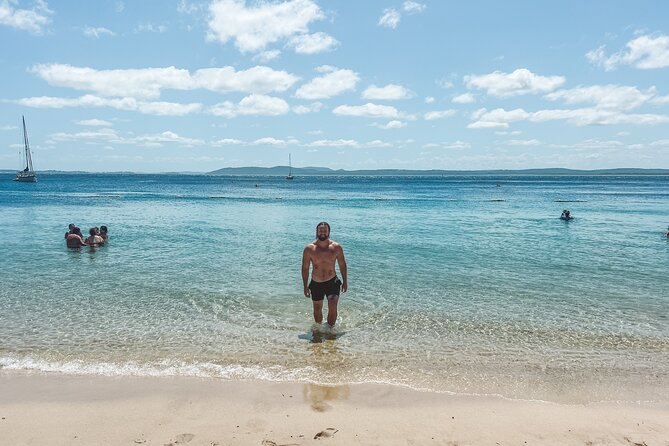 Newcastle: Port Stephens day tour - Dolphins, hike & swim! - How the Port Stephens day tour actually flows from Newcastle