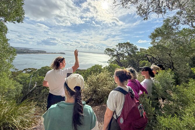 Newcastle: Port Stephens day tour - Dolphins, hike & swim! - B Farm Murray’s: craft beer tasting and vineyard break