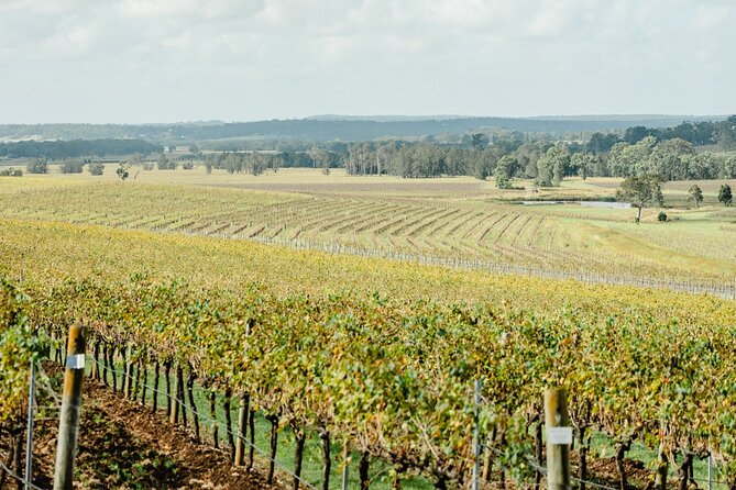 Newcastle: Private Hunter Valley Wine Tour - Stop 2: Small Mouth Vodka, pick-your-flight spirits (with glitter options)