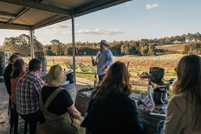Newcastle: Private Hunter Valley Wine Tour - Stop 3: Audrey Wilkinson Vineyard for the 360-degree view payoff