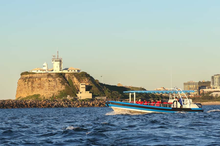 Newcastle: Small Group Humpback Whale Encounter Tour - Price and Value: Is $88 for 2 Hours a Good Deal?