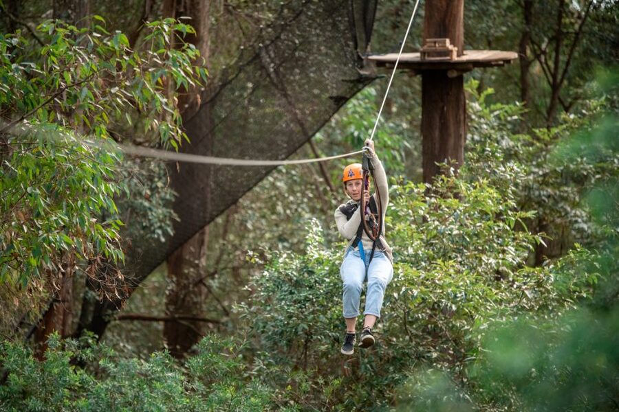 Newcastle: Tree Ropes Course Adventure - Key Highlights Worth Planning For