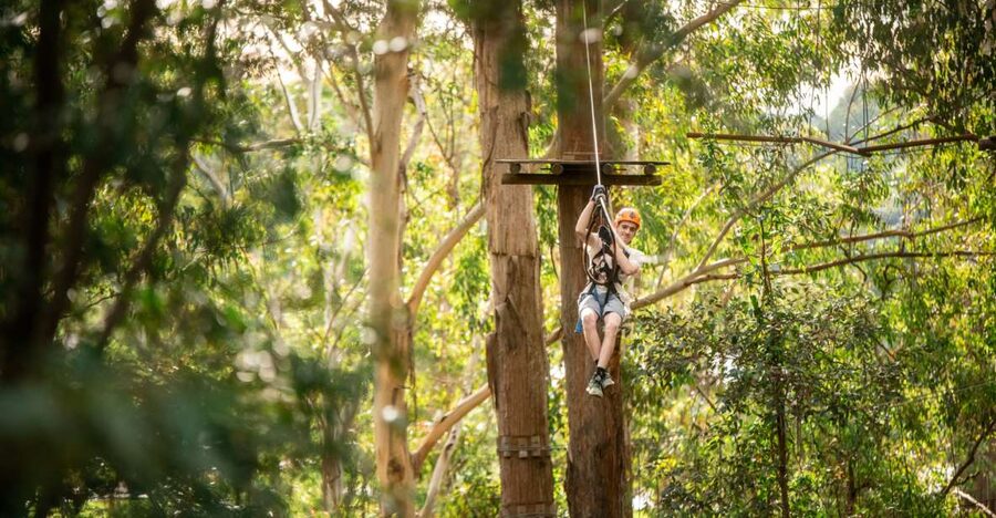 Newcastle: Tree Ropes Course Adventure - Newcastle Treetops, Why This Feels Like a Proper Outdoors Adventure