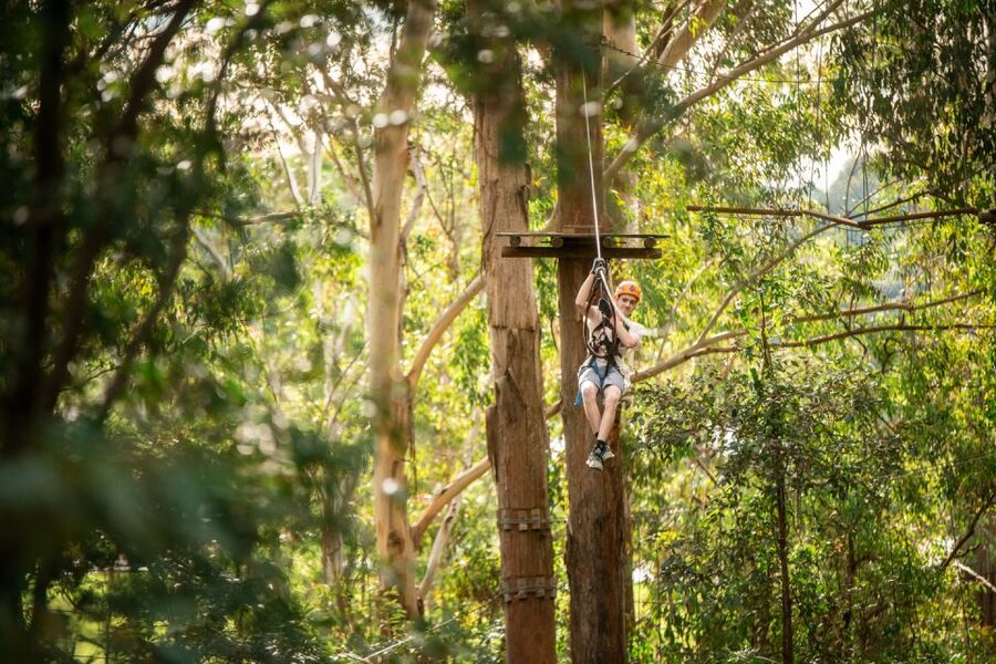 Newcastle: Tree Ropes Course Adventure - The Full 2.5 Hours, How the Course Uses Time (Even If It Varies)