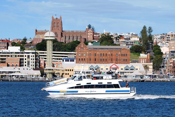 Newcastle Whale Watching Cruise - Where you board at Honeysuckle Marina and how to choose your spot