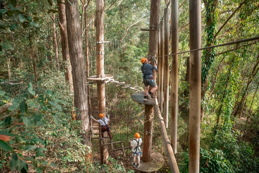 Ourimbah: Central Coast Treetops Adventure Tree Ropes Course - Where Ourimbah Treetops Fits on the NSW Central Coast