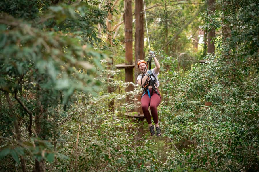 Ourimbah: Central Coast Treetops Adventure Tree Ropes Course - Safety Briefing and Harness Training, Without the Guesswork