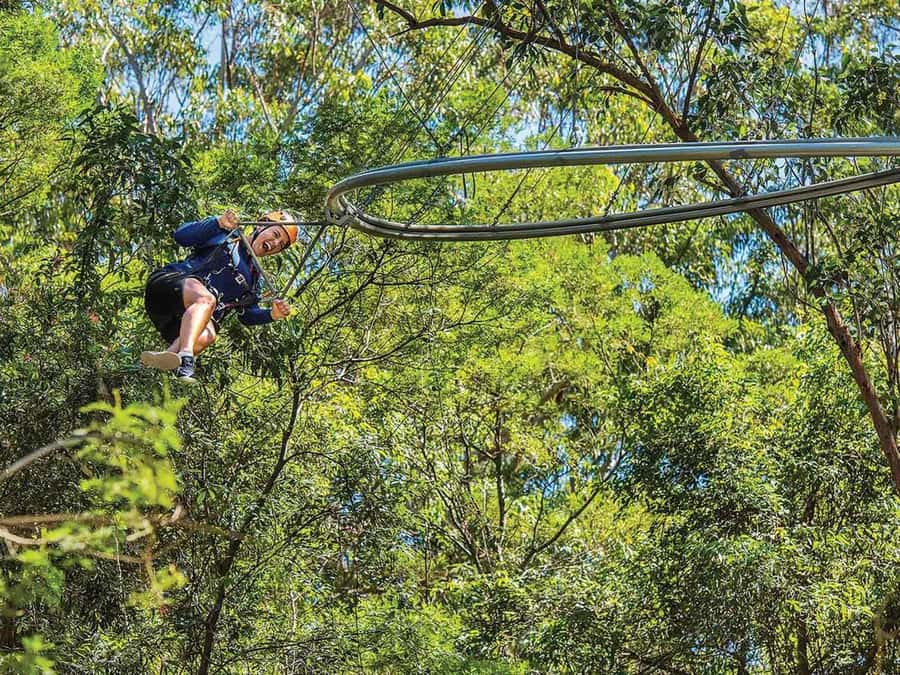 Ourimbah: Central Coast Zipcoaster - The 500-Metre, Three-Minute Experience With Two Loops