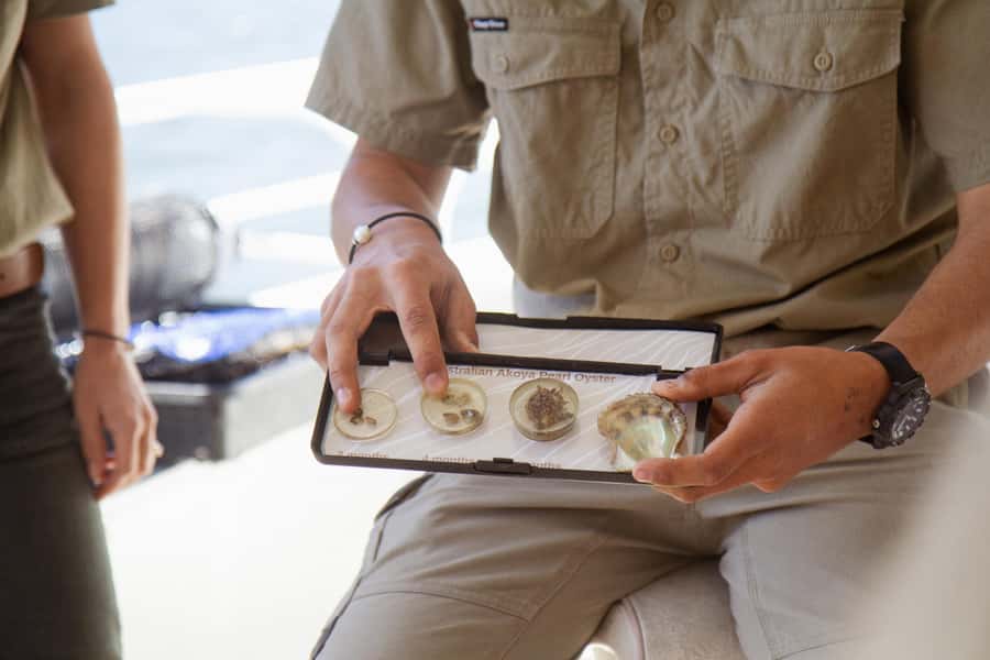 Oyster & Pearl Lovers Tour - Should you book this Oyster and Pearl Lovers Tour?