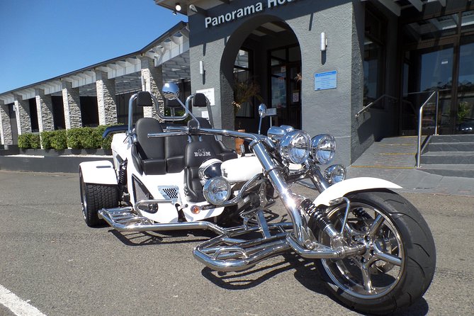 Panorama House Luncheon Trike Tour - Who should book this trike luncheon tour