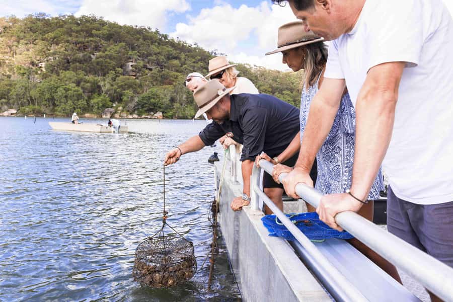 Pearl & Oyster Farm Hawkesbury River Cruise - Key moments you will remember