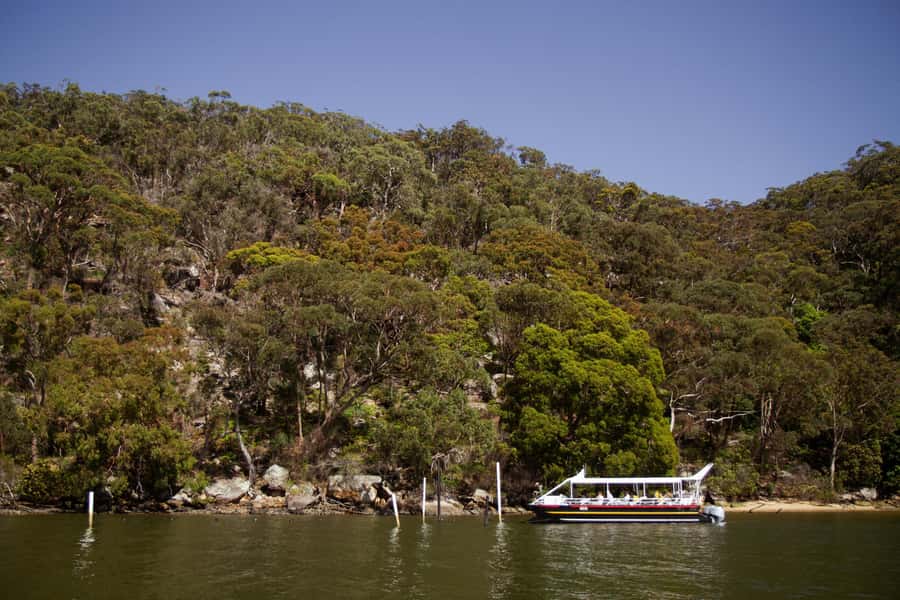 Pearl & Oyster Farm Hawkesbury River Cruise - Food tasting and pearl shopping: what to do with your new knowledge