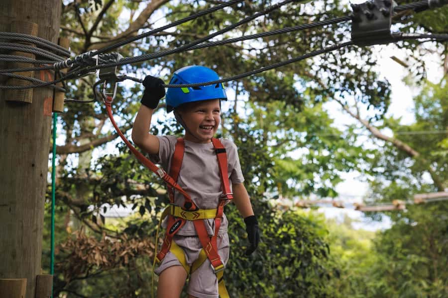 Pennant Hills: Junior Tree Ropes Course - Junior tree ropes at The Hills: what you are signing up for