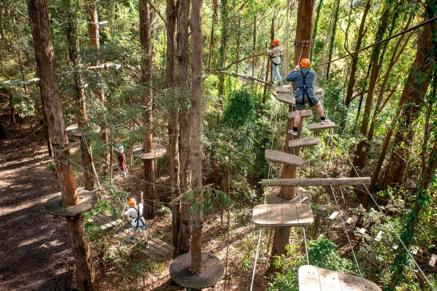 Pennant Hills: Tree Ropes Course Session - Safety briefing and gear, the part that keeps things fun