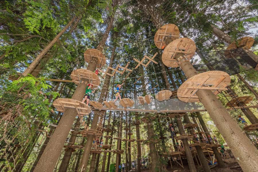 Pennant Hills: Tree Ropes Course Session - Check-in at reception and the short walk into the Cumberland pines