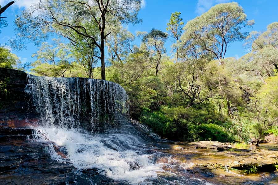 Personalised Blue Mountains Tour: Luxury Vehicles & Insights - Key things I’d plan around