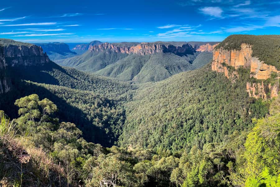 Personalised Blue Mountains Tour: Luxury Vehicles & Insights - Luxury Vehicle Comfort and Pickup That Actually Makes Life Easier